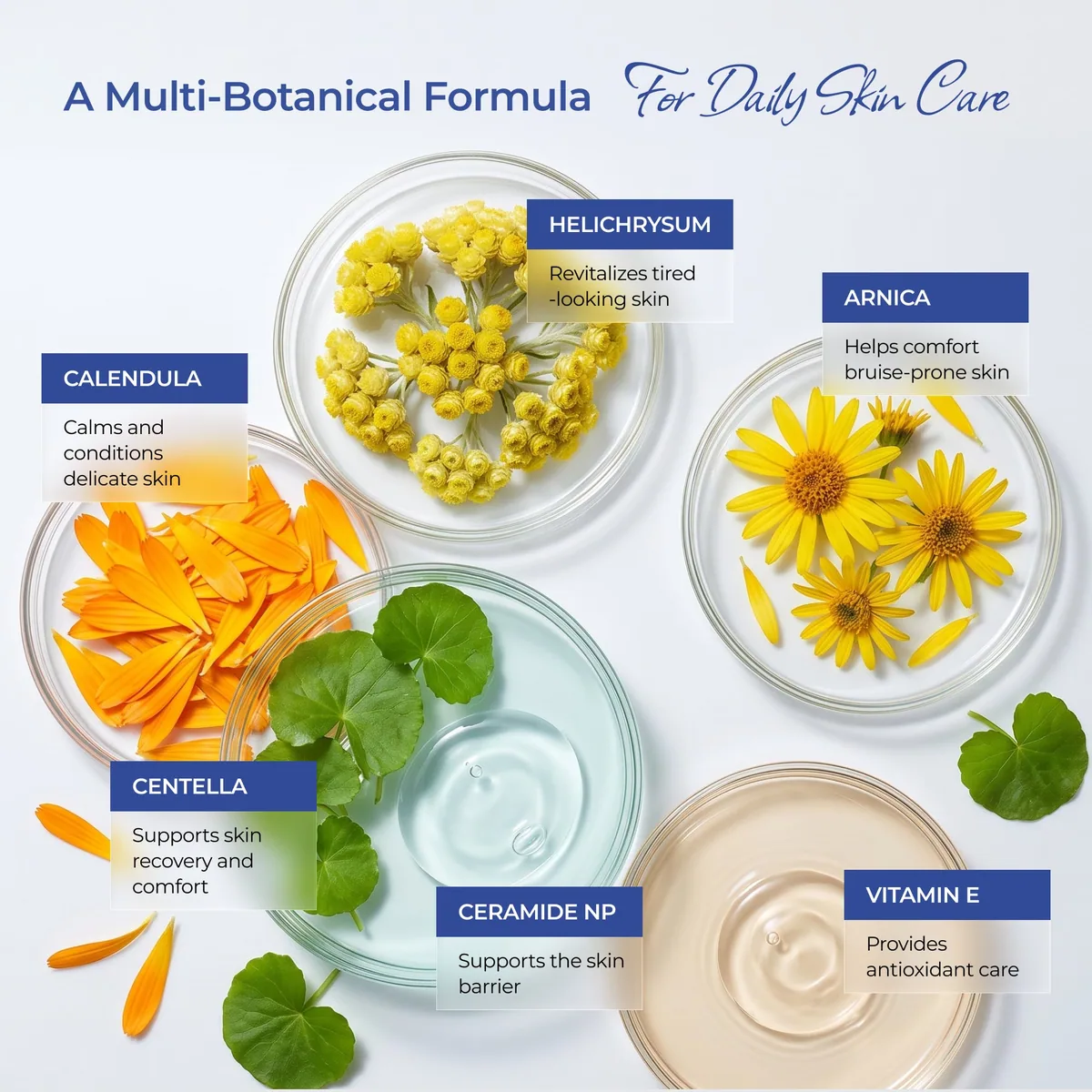 Helichrysum Balm for Fragile & Mature Skin — product photo 6