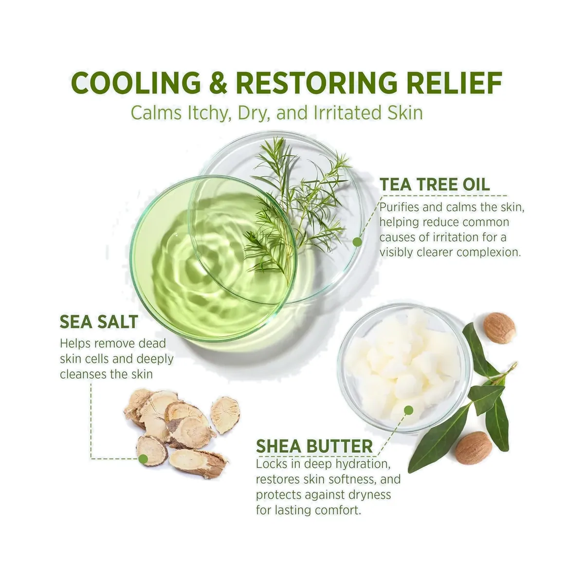 Tea Tree Body Wash + Soap — product photo 6
